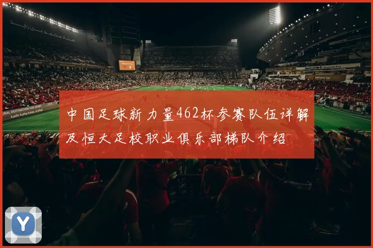 中国足球新力量462杯参赛队伍详解及恒大足校职业俱乐部梯队介绍